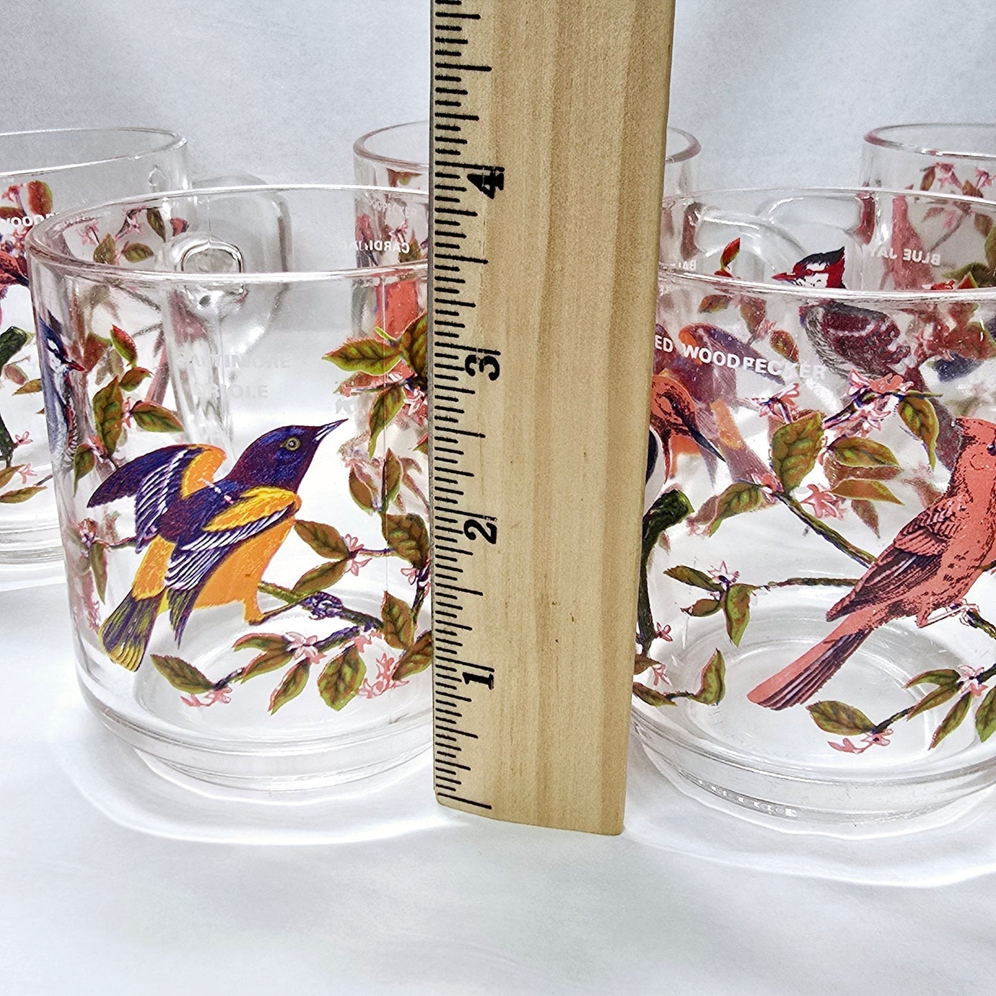 Set of 5 Vintage Arcoroc France Bird Glass Mugs 1970's Blue Jay, Oriole, Woodpecker and Cardinal