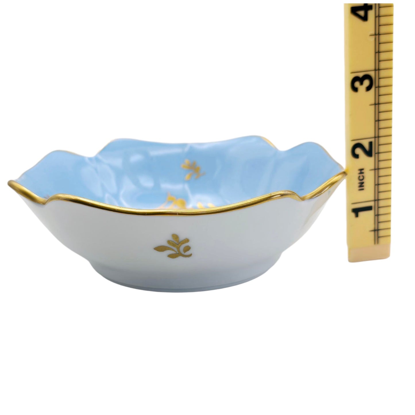 Blue French Porcelaine De Couleuvre France Decorative Bowl Made in France Flower