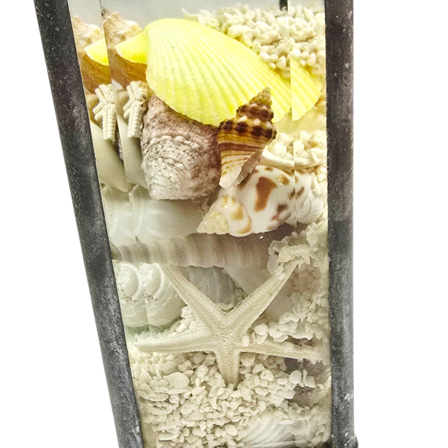Sand & Shells Beveled Glass Seascape Sand and Shells Paperweight Coastal Decor