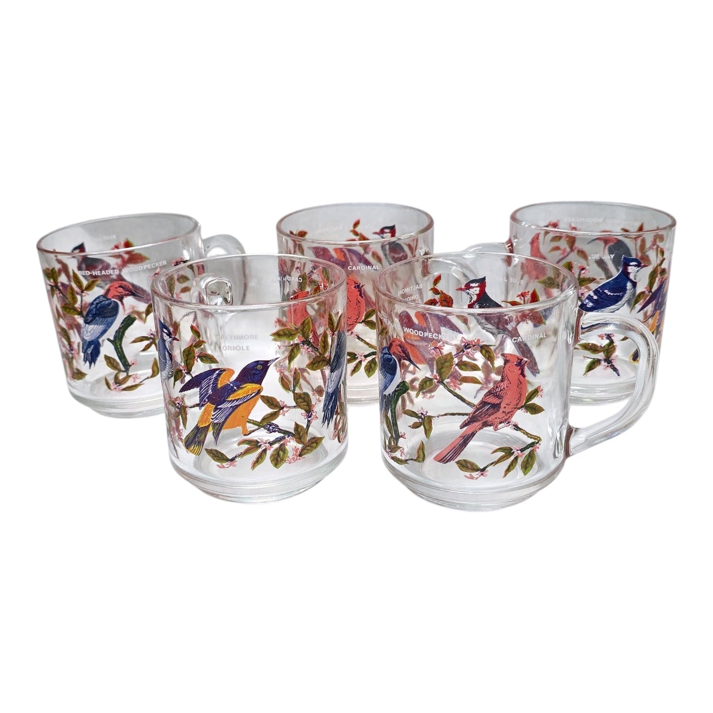 Set of 5 Vintage Arcoroc France Bird Glass Mugs 1970's Blue Jay, Oriole, Woodpecker and Cardinal