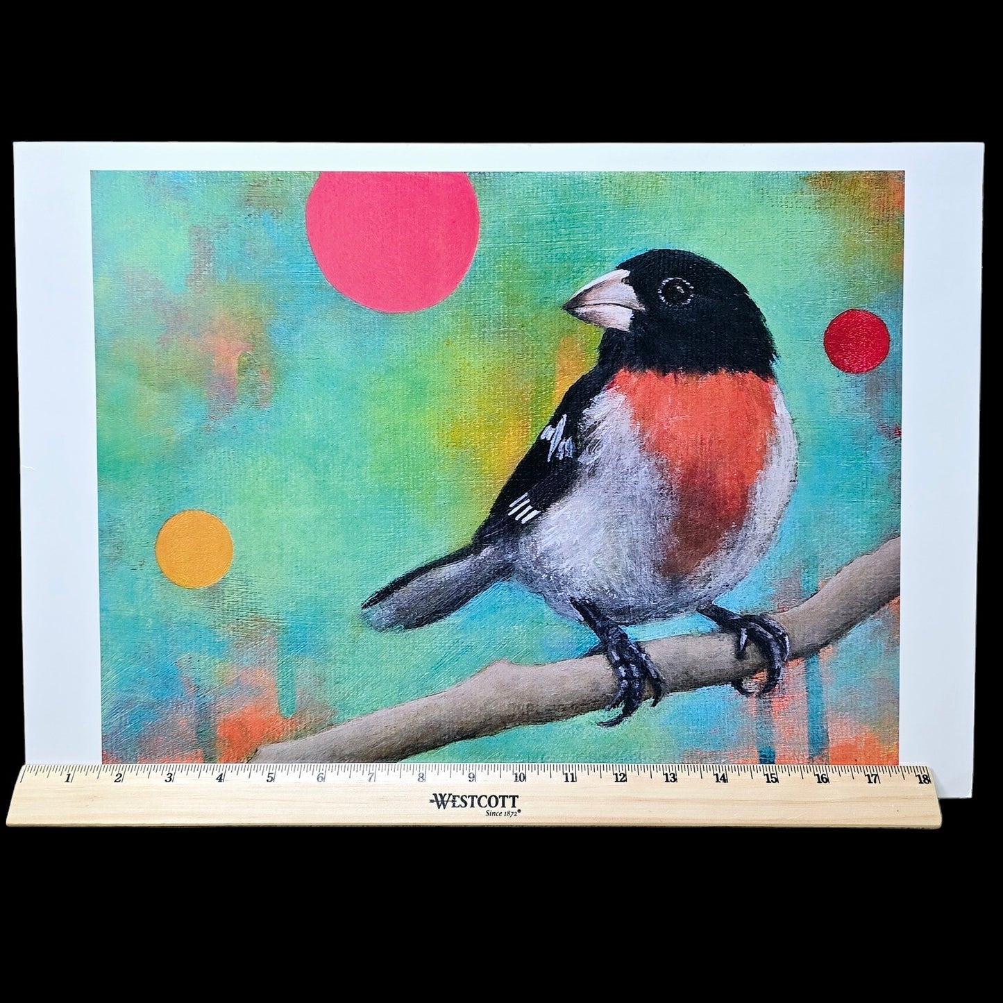 16x12 Red Bird Art Print Mysteries of the Universe 2014 Bridget Griffith Evans
