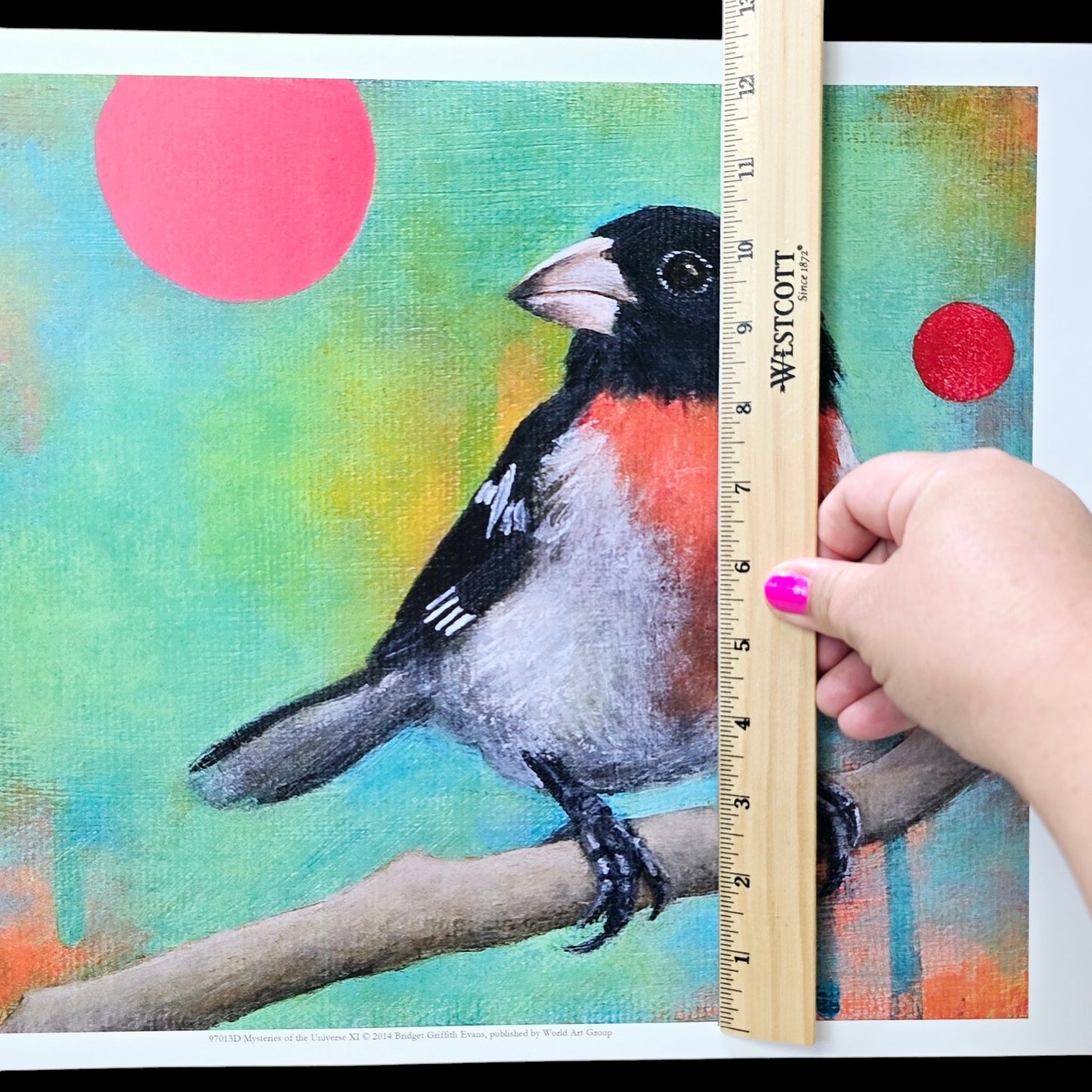 16x12 Red Bird Art Print Mysteries of the Universe 2014 Bridget Griffith Evans