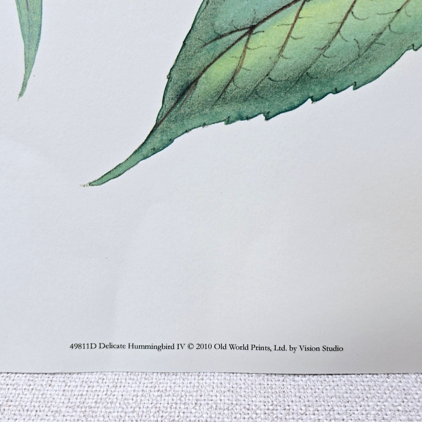 19x13 Hummingbird Art Print Delicate Humming Bird IV, 2010 Old World Prints