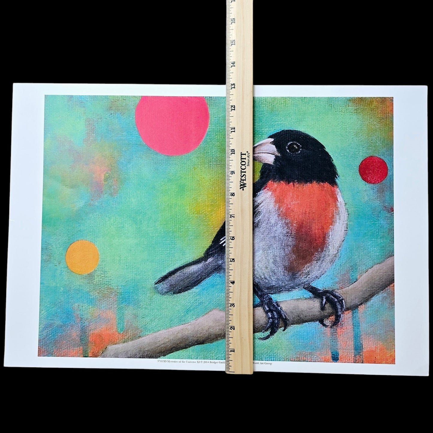 16x12 Red Bird Art Print Mysteries of the Universe 2014 Bridget Griffith Evans