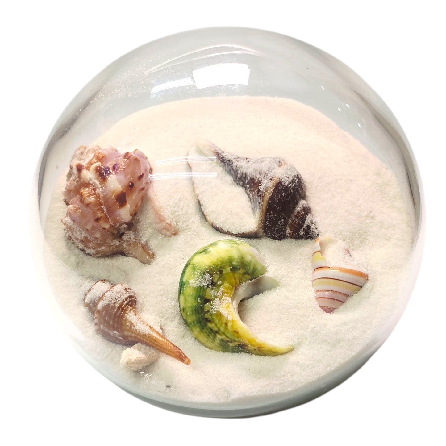 Sand and Shells Sandglobe Paperweight
