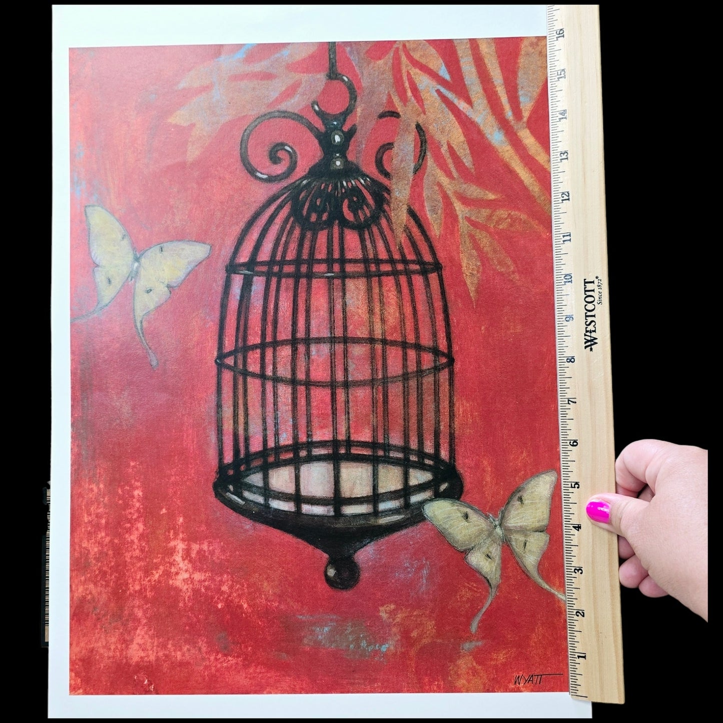 Two 16x12 Butterfly Art Prints: "Asian Birdcage I and II, 2008 New World Graphics by Norman Wyatt, Jr.