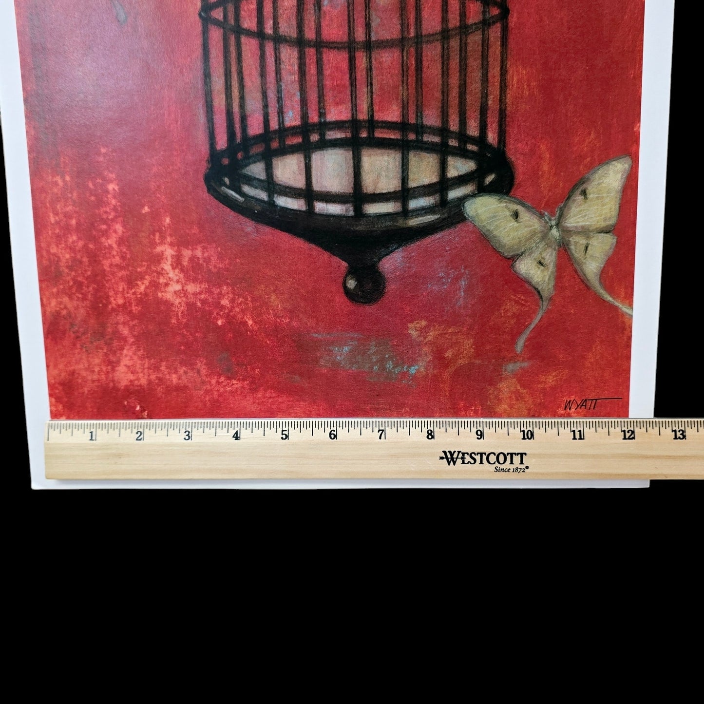 Two 16x12 Butterfly Art Prints: "Asian Birdcage I and II, 2008 New World Graphics by Norman Wyatt, Jr.