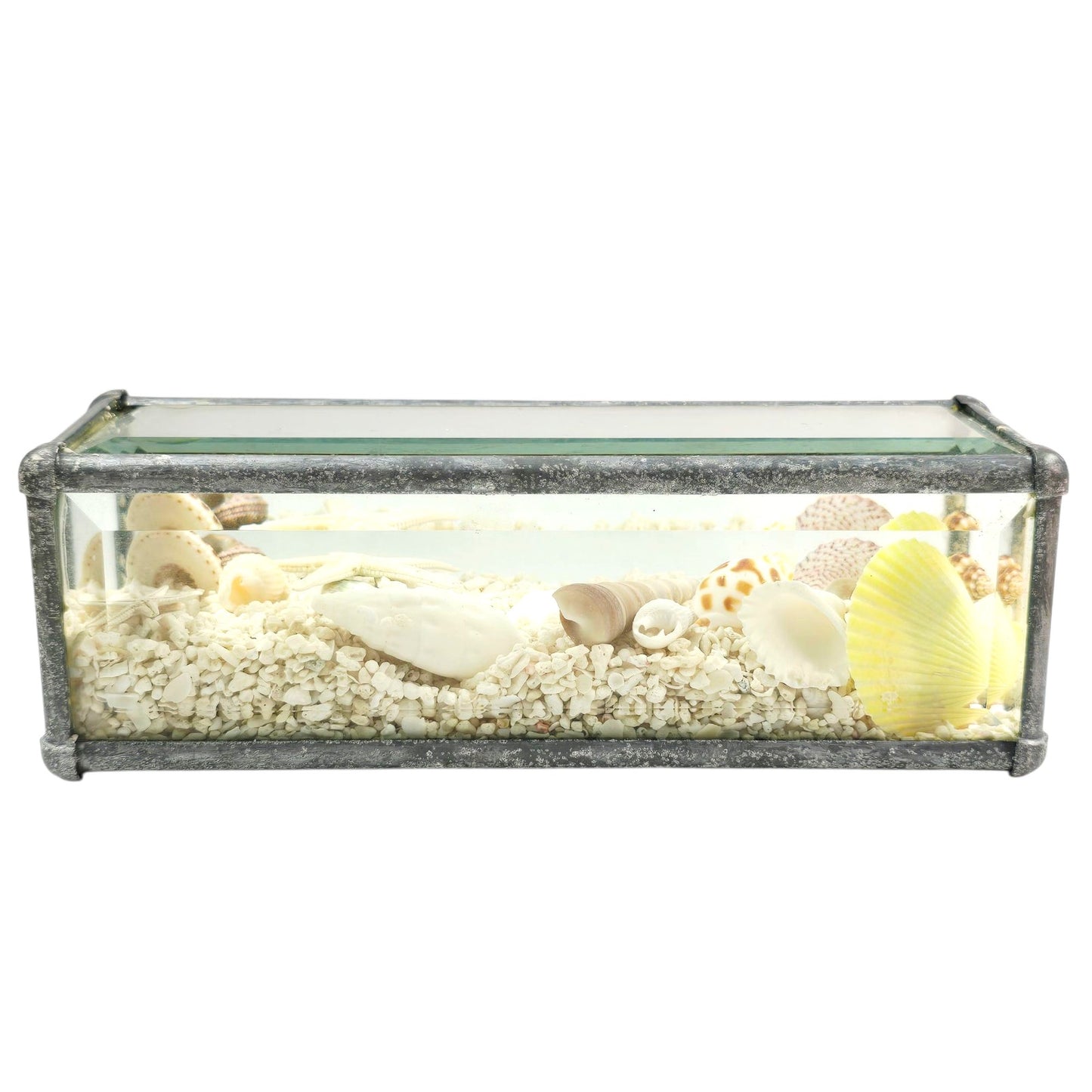 Sand & Shells Beveled Glass Seascape Sand and Shells Paperweight Coastal Decor