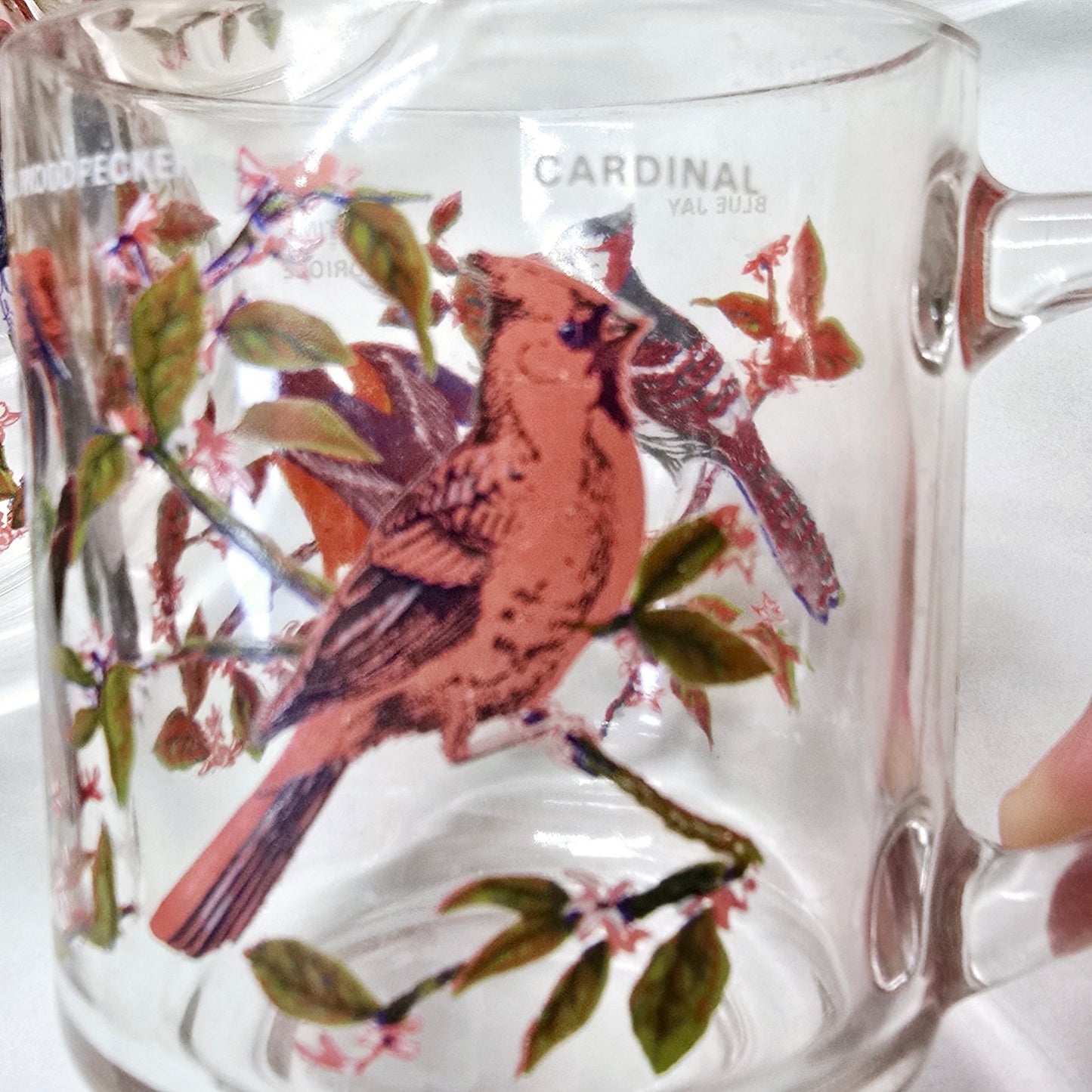Set of 5 Vintage Arcoroc France Bird Glass Mugs 1970's Blue Jay, Oriole, Woodpecker and Cardinal