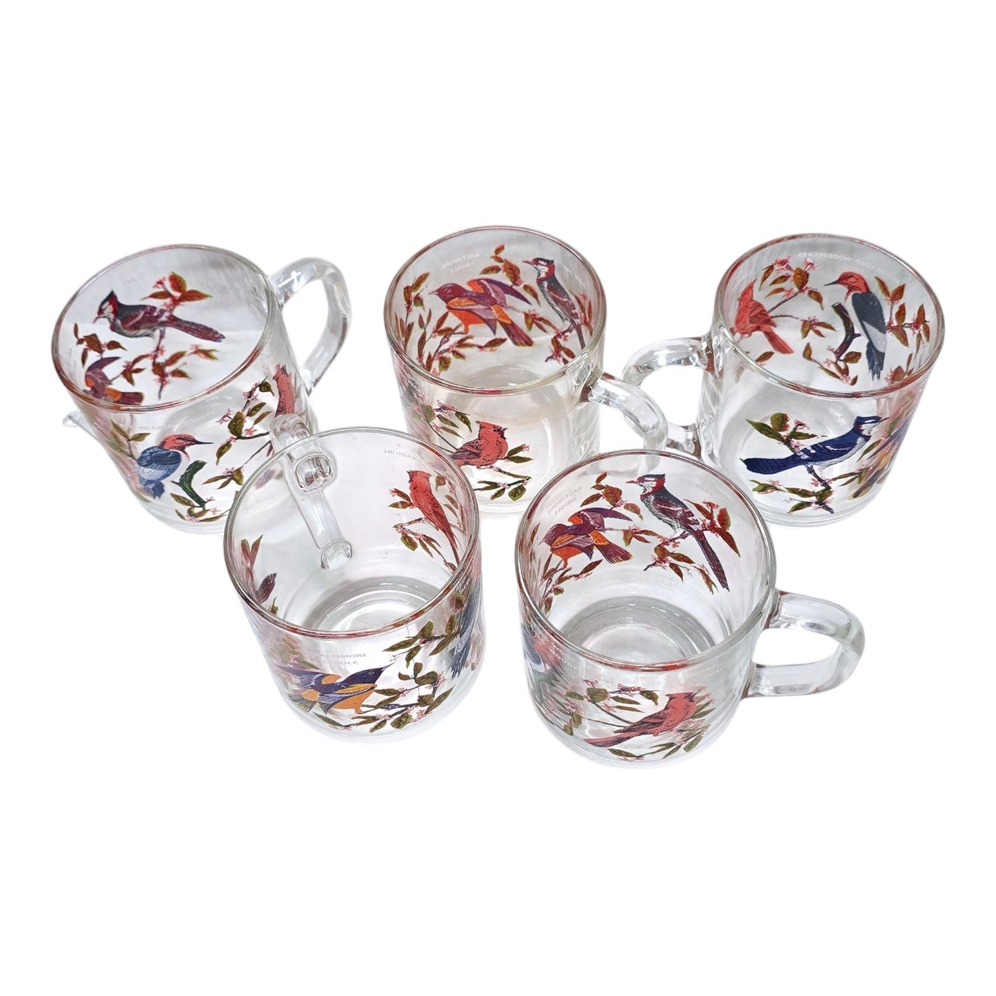 Set of 5 Vintage Arcoroc France Bird Glass Mugs 1970's Blue Jay, Oriole, Woodpecker and Cardinal