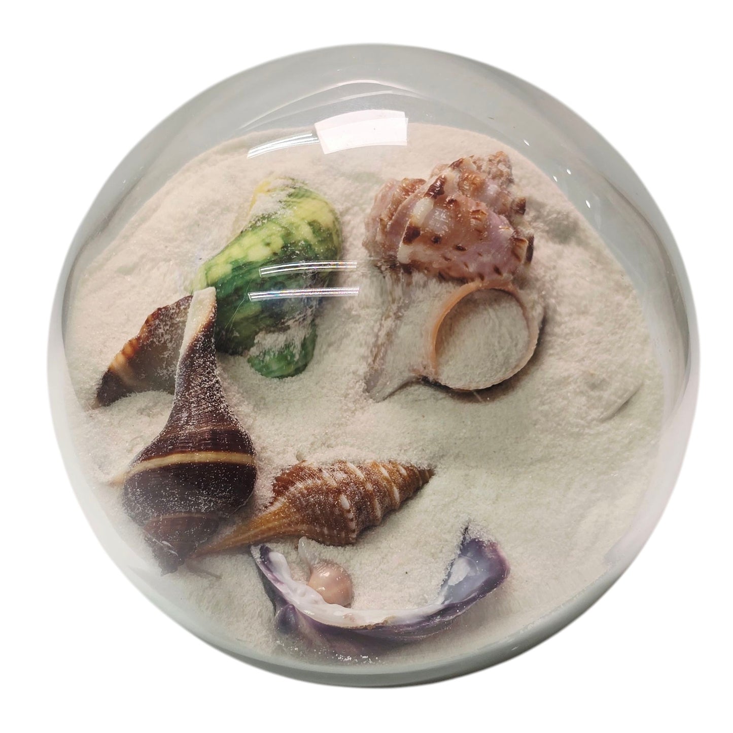 Sand and Shells Sandglobe Paperweight