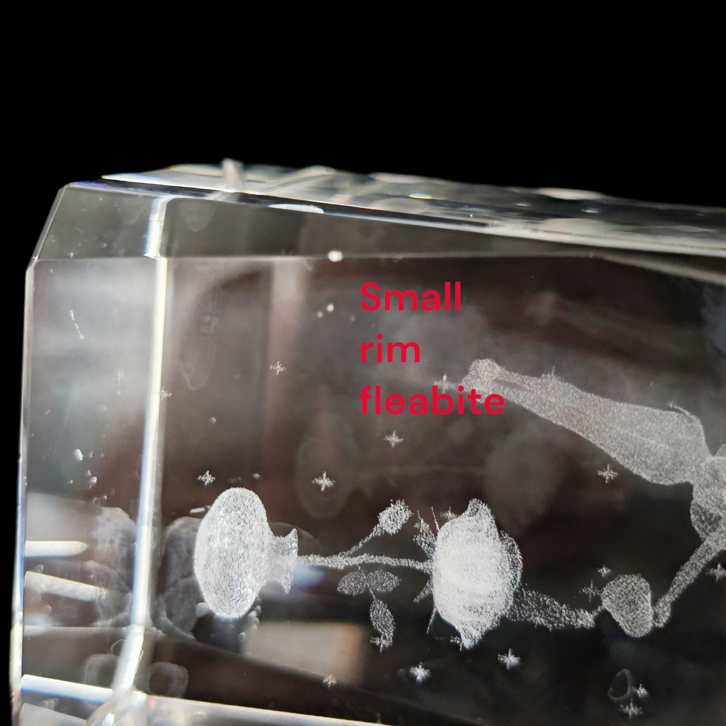 Disney Tinkerbell 3D Crystal Glass Cube Paperweight, Watering Flower Water Can