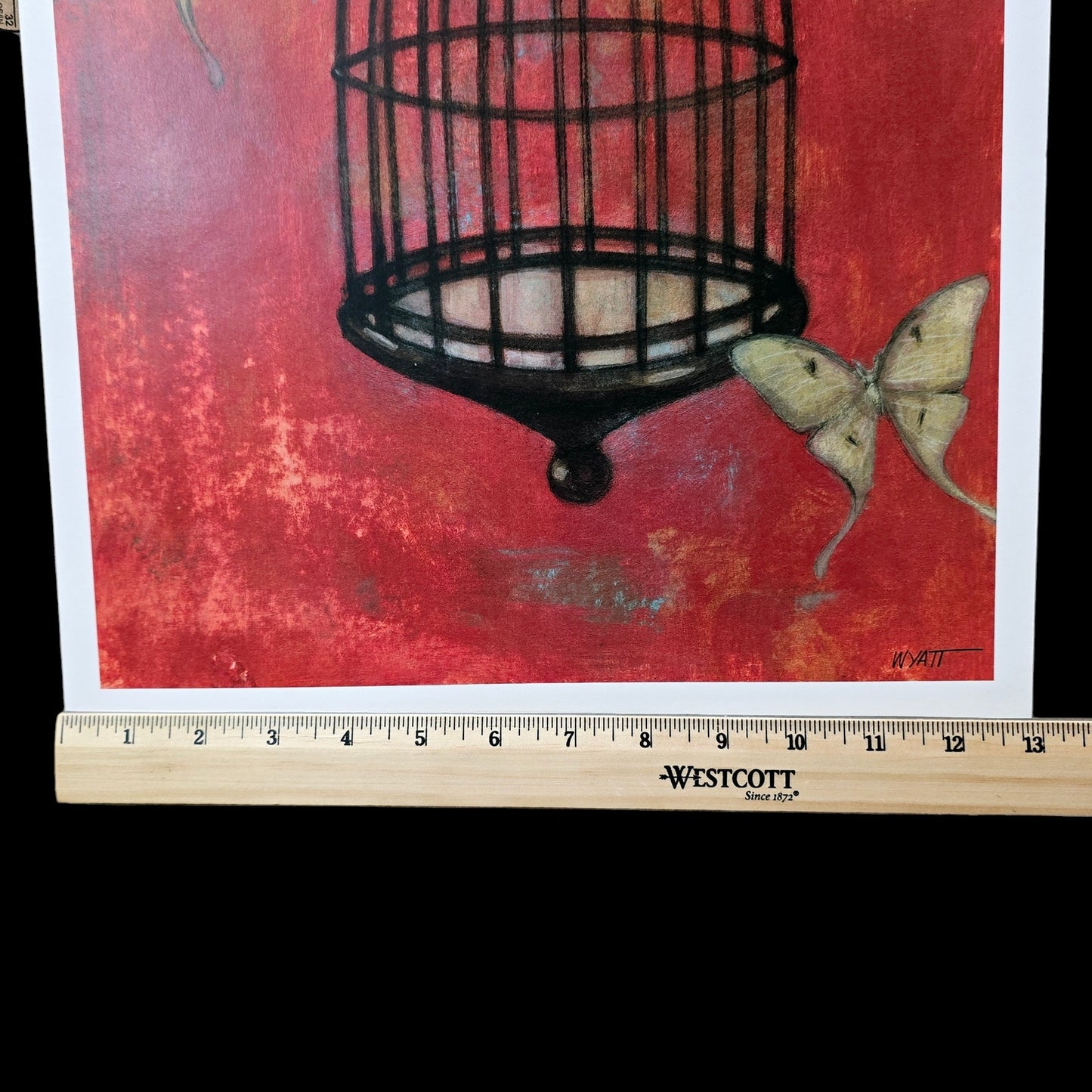 Two 16x12 Butterfly Art Prints: "Asian Birdcage I and II, 2008 New World Graphics by Norman Wyatt, Jr.