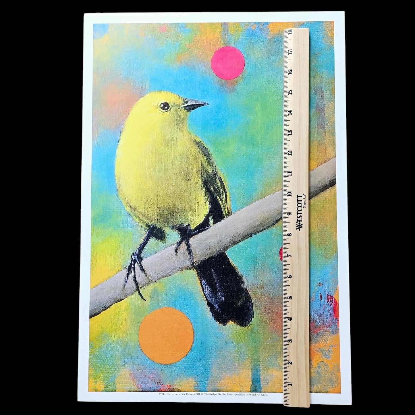 18 x12 Bird Art Print Mysteries of the Universe XII 2014 Bridget Griffith Evans