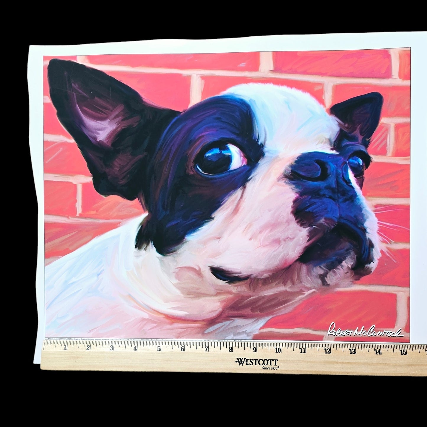 15.25" x12" Dog Art Print: Robert McClintock "Boston Puppy" Copyright 2022, Published by World Art Group READ