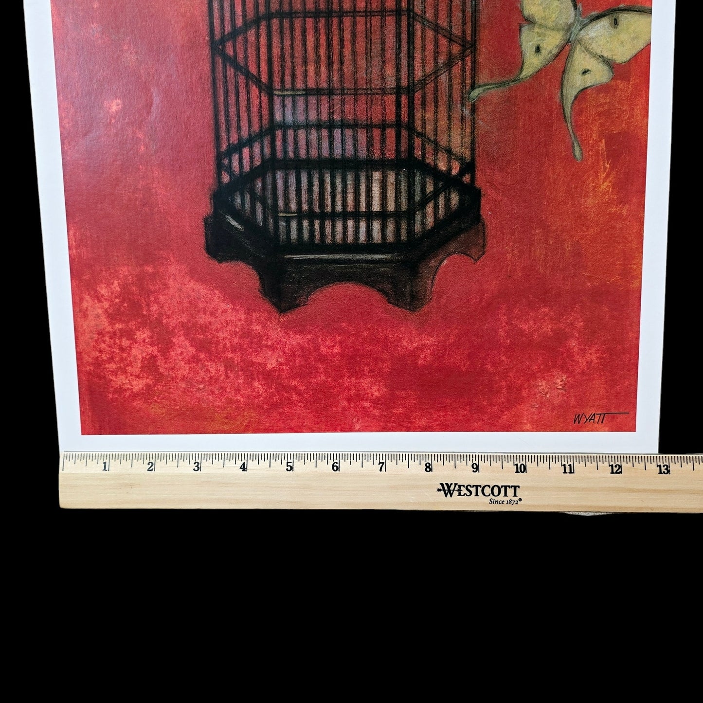 Two 16x12 Butterfly Art Prints: "Asian Birdcage I and II, 2008 New World Graphics by Norman Wyatt, Jr.