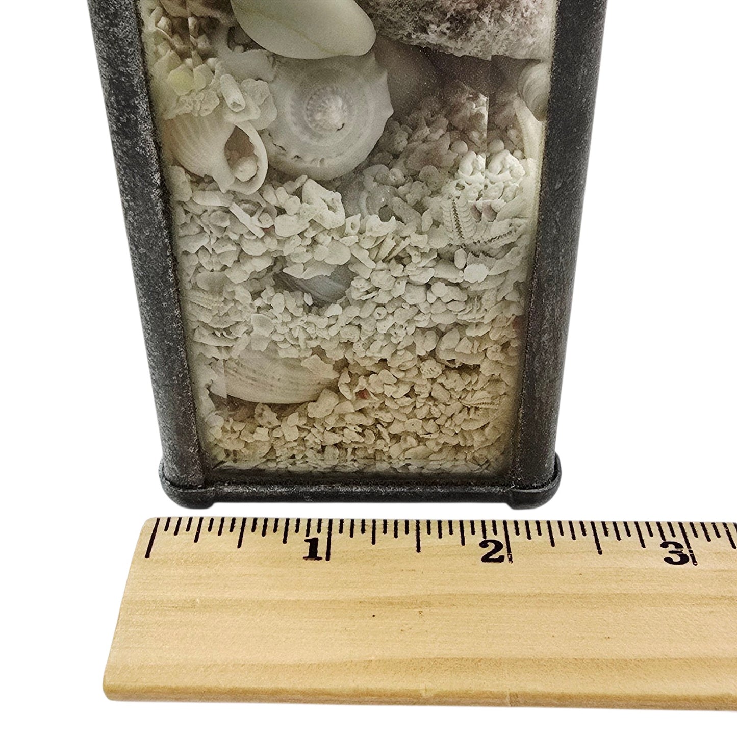 Sand & Shells Beveled Glass Seascape Sand and Shells Paperweight Coastal Decor