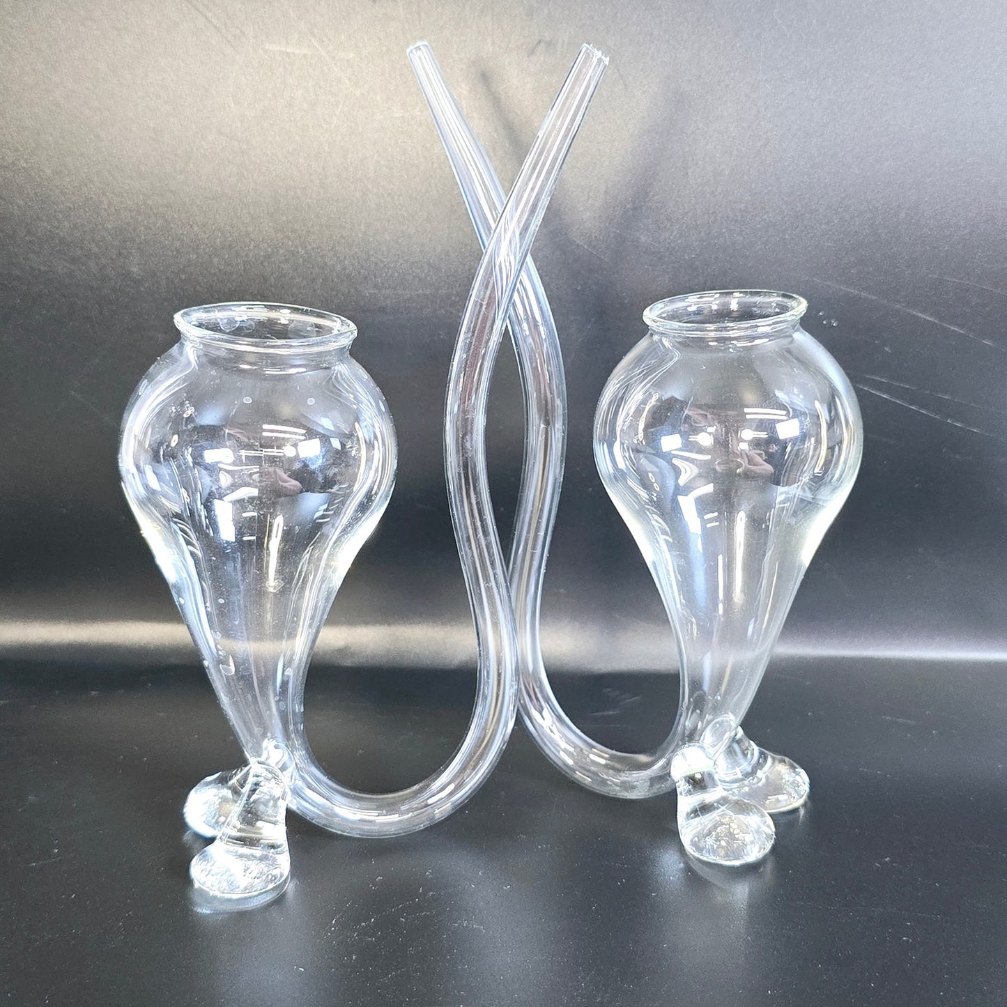 Handblown Clear Glass Cat Tail Shot Glasses with Glass Tail Straws