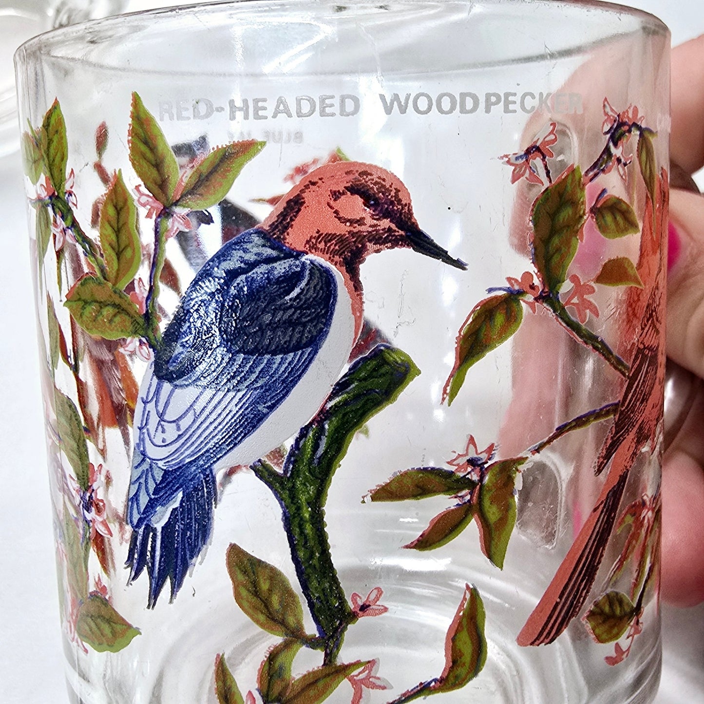 Set of 5 Vintage Arcoroc France Bird Glass Mugs 1970's Blue Jay, Oriole, Woodpecker and Cardinal