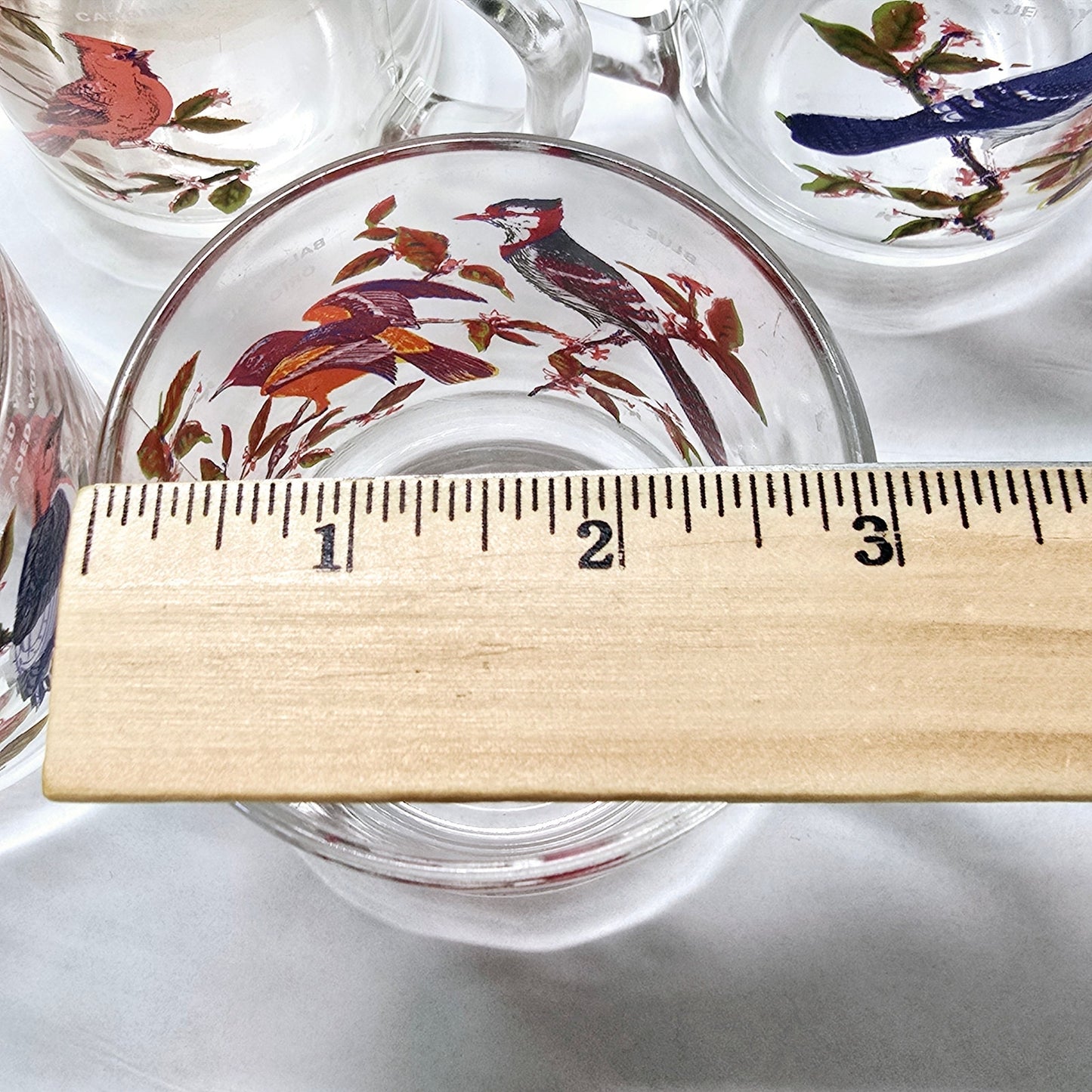 Set of 5 Vintage Arcoroc France Bird Glass Mugs 1970's Blue Jay, Oriole, Woodpecker and Cardinal