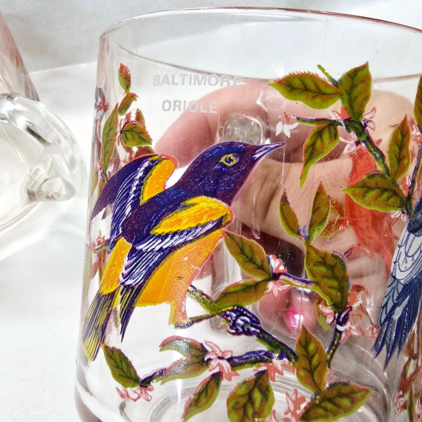 Set of 5 Vintage Arcoroc France Bird Glass Mugs 1970's Blue Jay, Oriole, Woodpecker and Cardinal