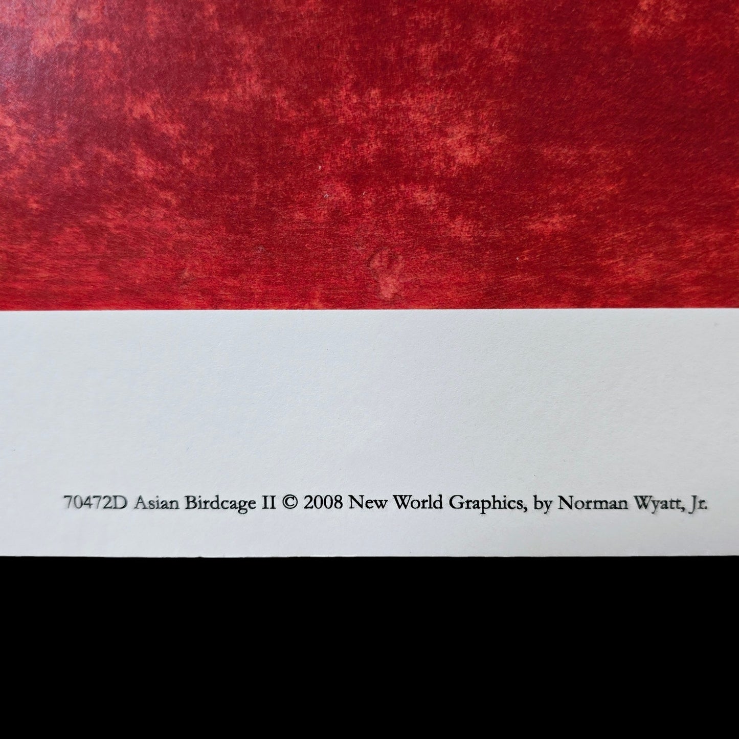 Two 16x12 Butterfly Art Prints: "Asian Birdcage I and II, 2008 New World Graphics by Norman Wyatt, Jr.