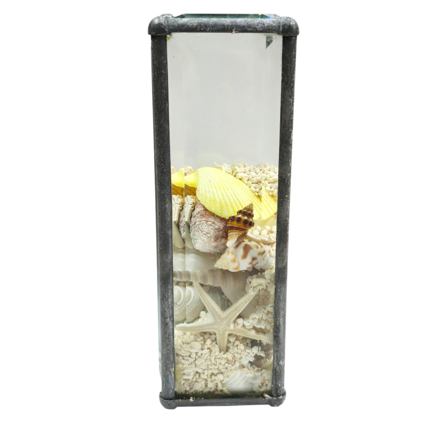 Sand & Shells Beveled Glass Seascape Sand and Shells Paperweight Coastal Decor