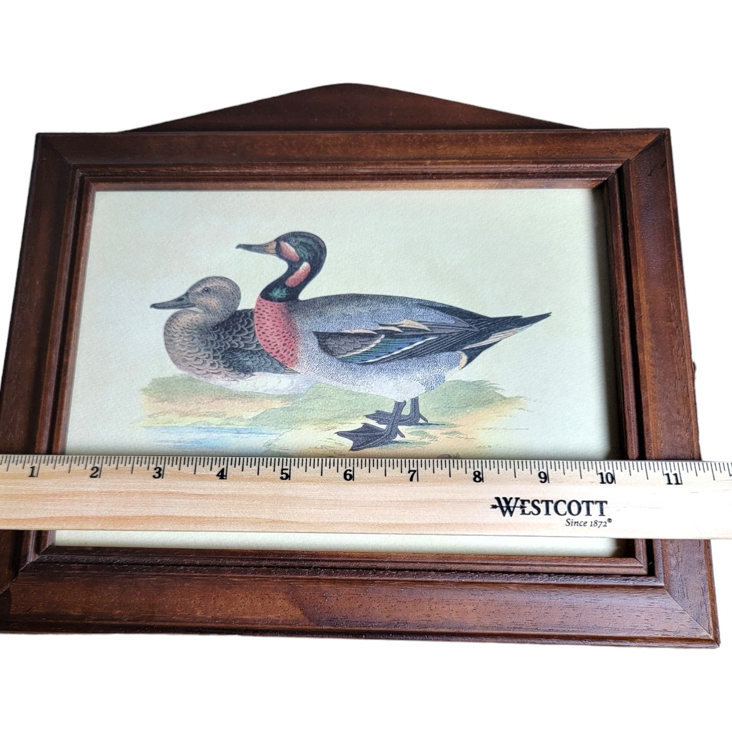 Italian Wood Handcrafted Bimaculated Duck Wall Mount Key Cabinet