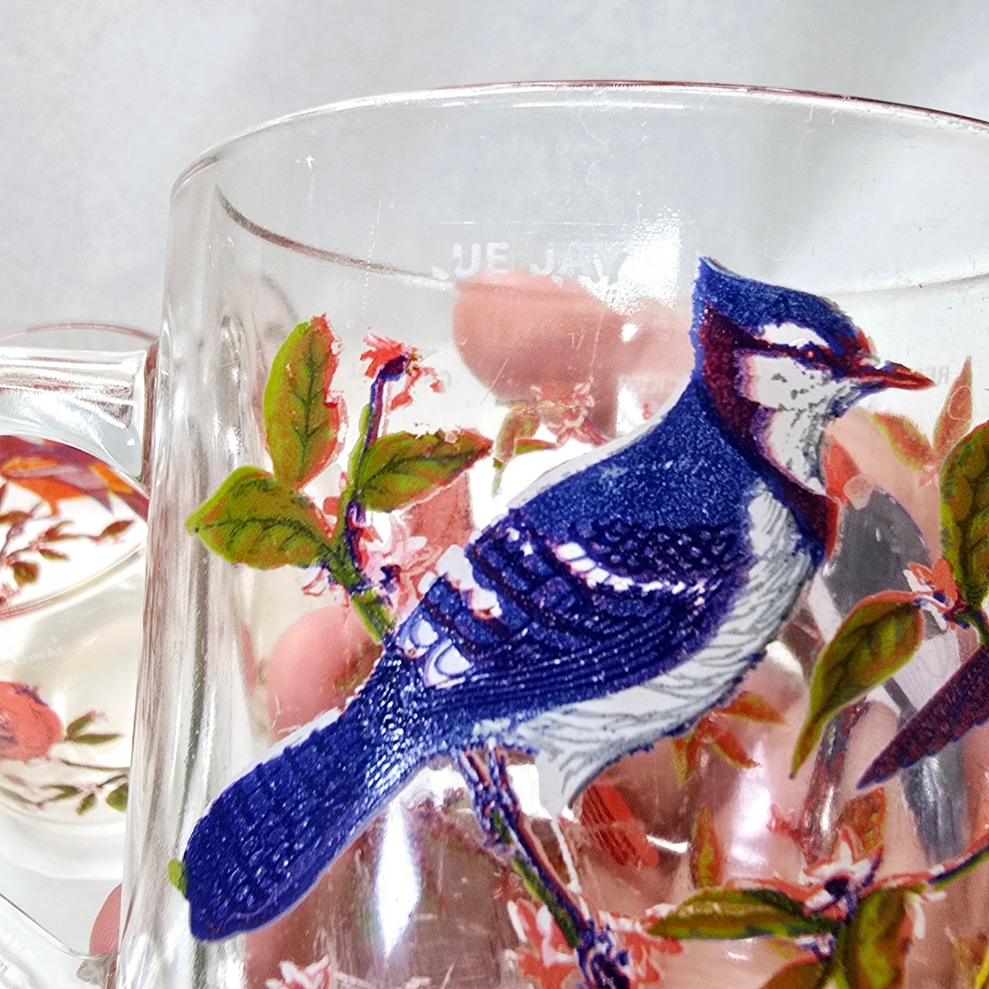 Set of 5 Vintage Arcoroc France Bird Glass Mugs 1970's Blue Jay, Oriole, Woodpecker and Cardinal
