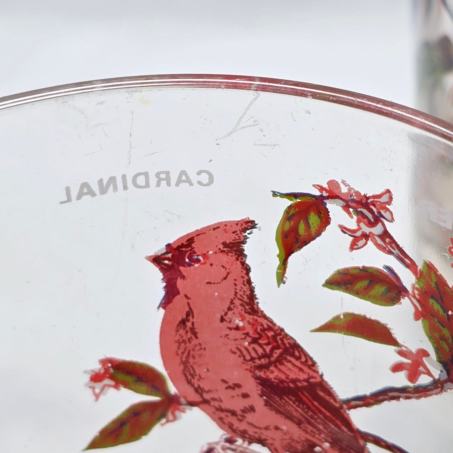 Set of 5 Vintage Arcoroc France Bird Glass Mugs 1970's Blue Jay, Oriole, Woodpecker and Cardinal