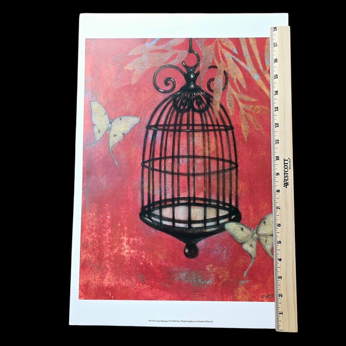Two 16x12 Butterfly Art Prints: "Asian Birdcage I and II, 2008 New World Graphics by Norman Wyatt, Jr.