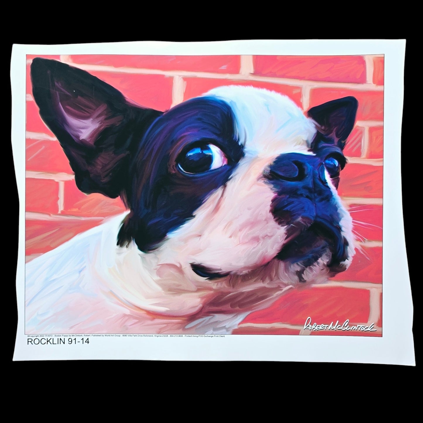 15.25" x12" Dog Art Print: Robert McClintock "Boston Puppy" Copyright 2022, Published by World Art Group READ