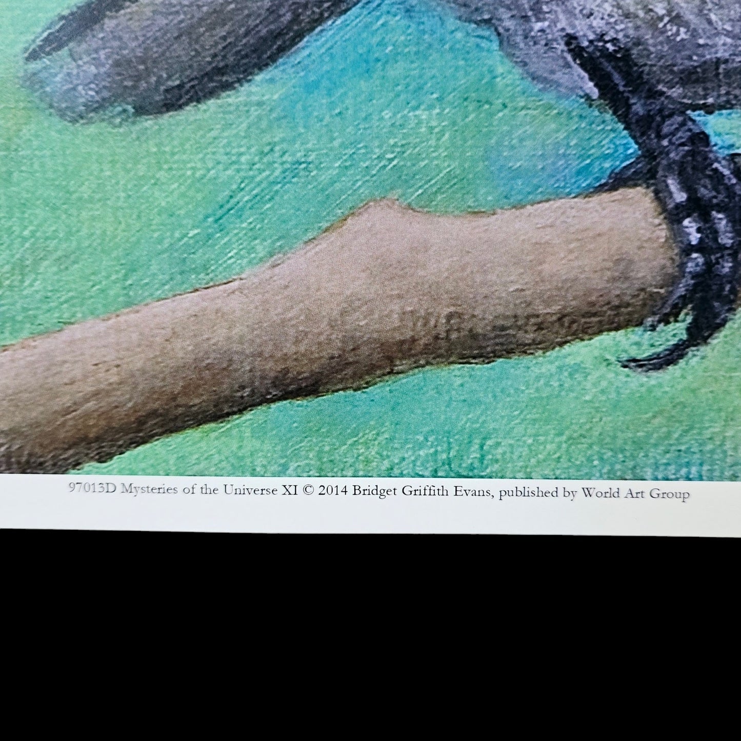 16x12 Red Bird Art Print Mysteries of the Universe 2014 Bridget Griffith Evans