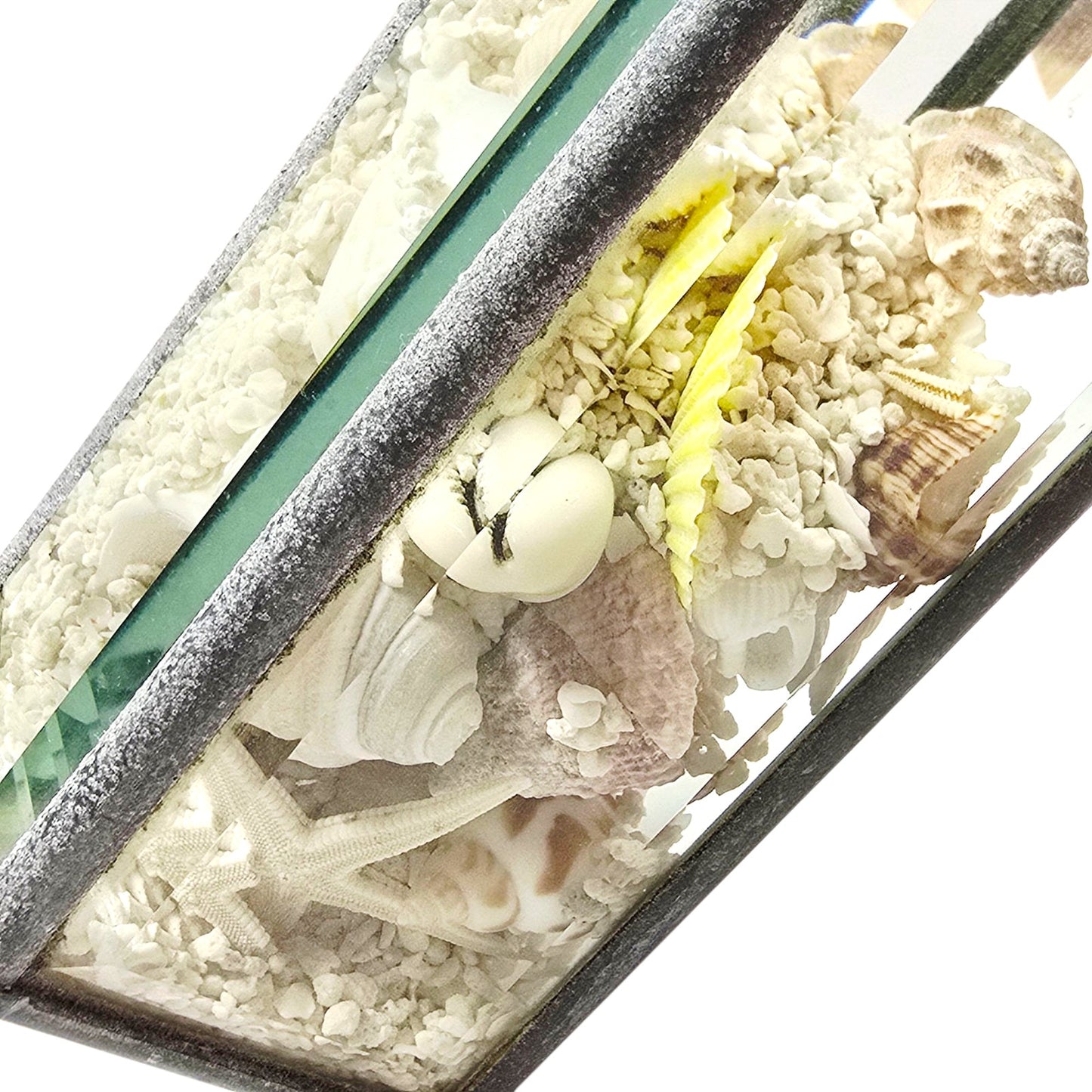 Sand & Shells Beveled Glass Seascape Sand and Shells Paperweight Coastal Decor
