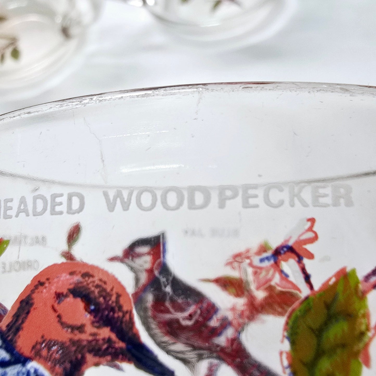 Set of 5 Vintage Arcoroc France Bird Glass Mugs 1970's Blue Jay, Oriole, Woodpecker and Cardinal