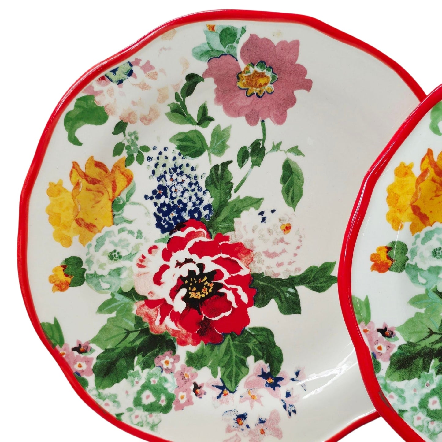 Pioneer Woman Floral Medley Salad Dessert Plates 8.25" Red Rim Set/2