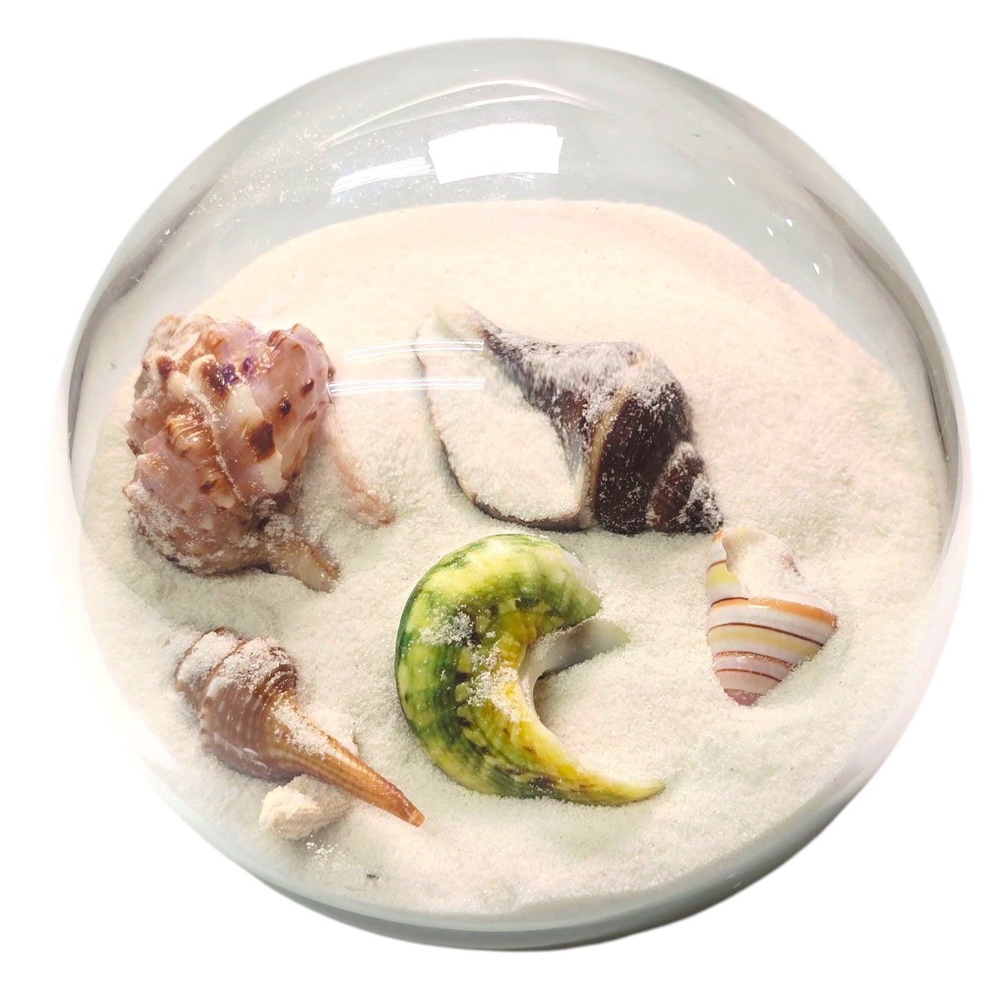 Sand and Shells Sandglobe Paperweight