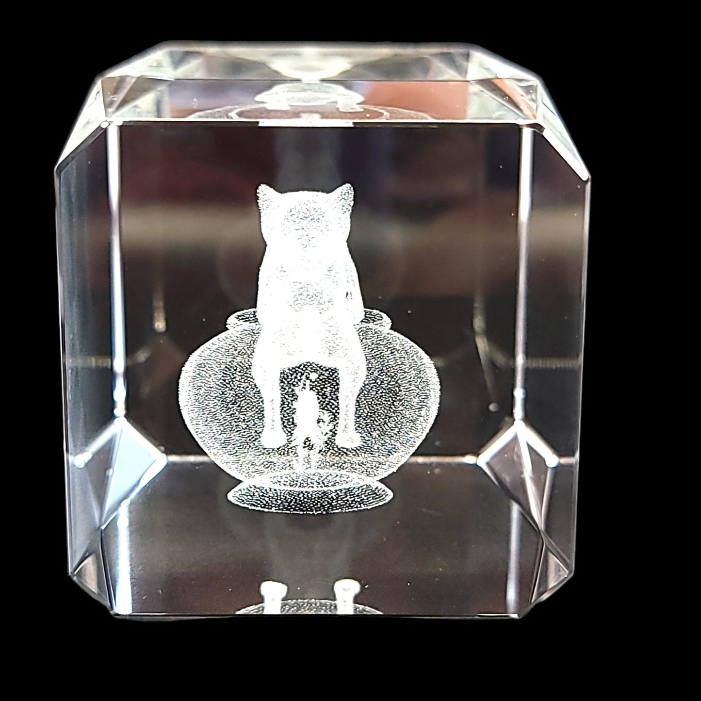 Cat Peering into Gold Fish Bowl 3D Laser Etched Crystal Paperweight in Box 3 x 2 x 2" Original Box