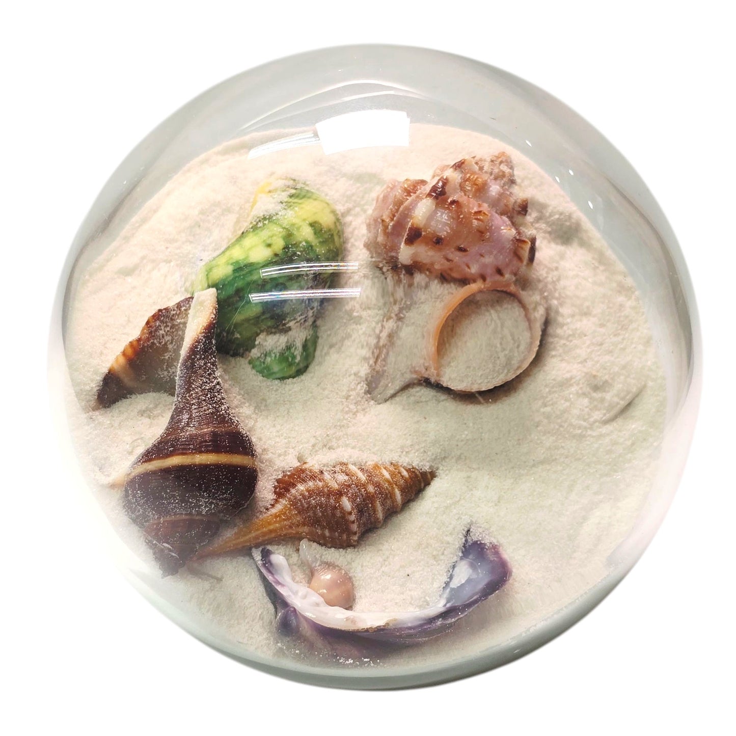 Sand and Shells Sandglobe Paperweight