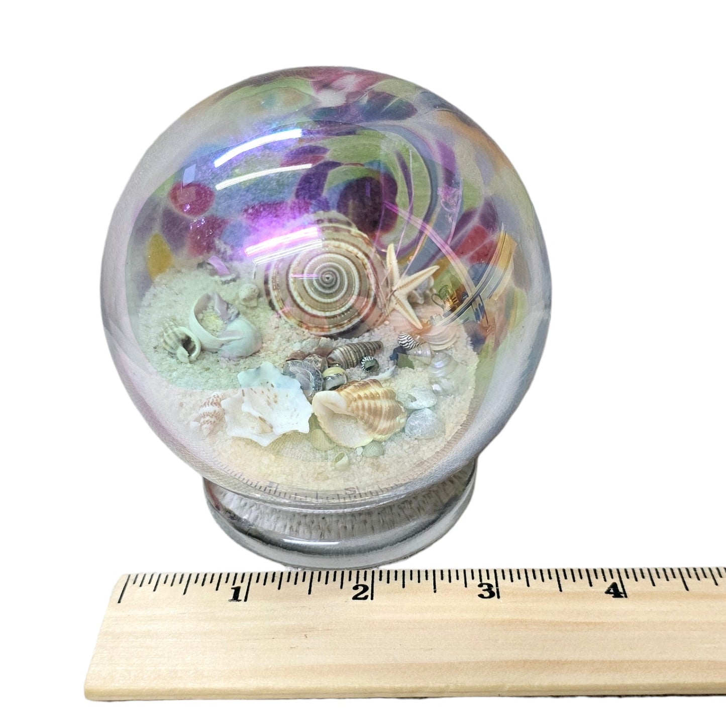 Glass Eye Studios Seashell & Sand Globe Paperweight