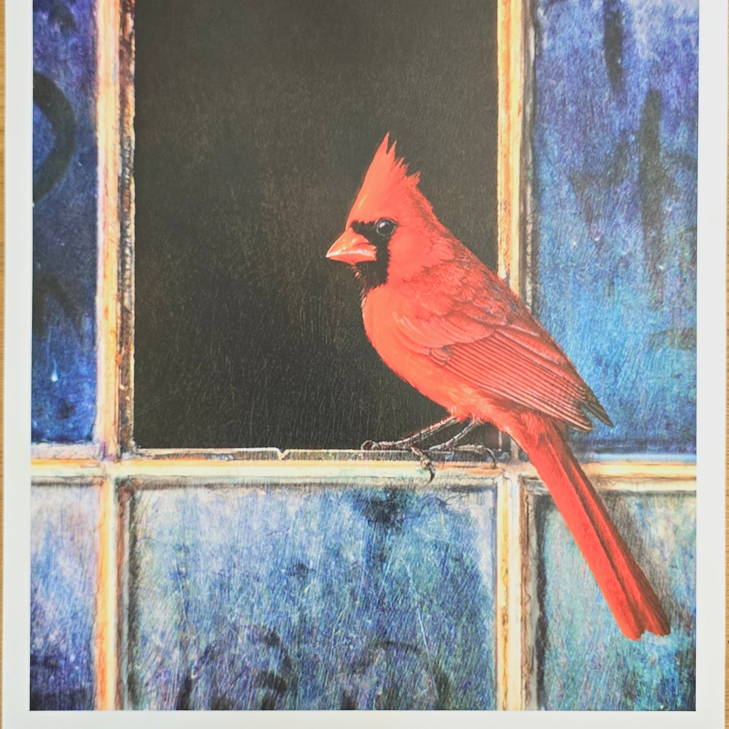 16x12 Red Bird Art Print: Cardinal Window, 2011 Chris Vest, New World Graphics