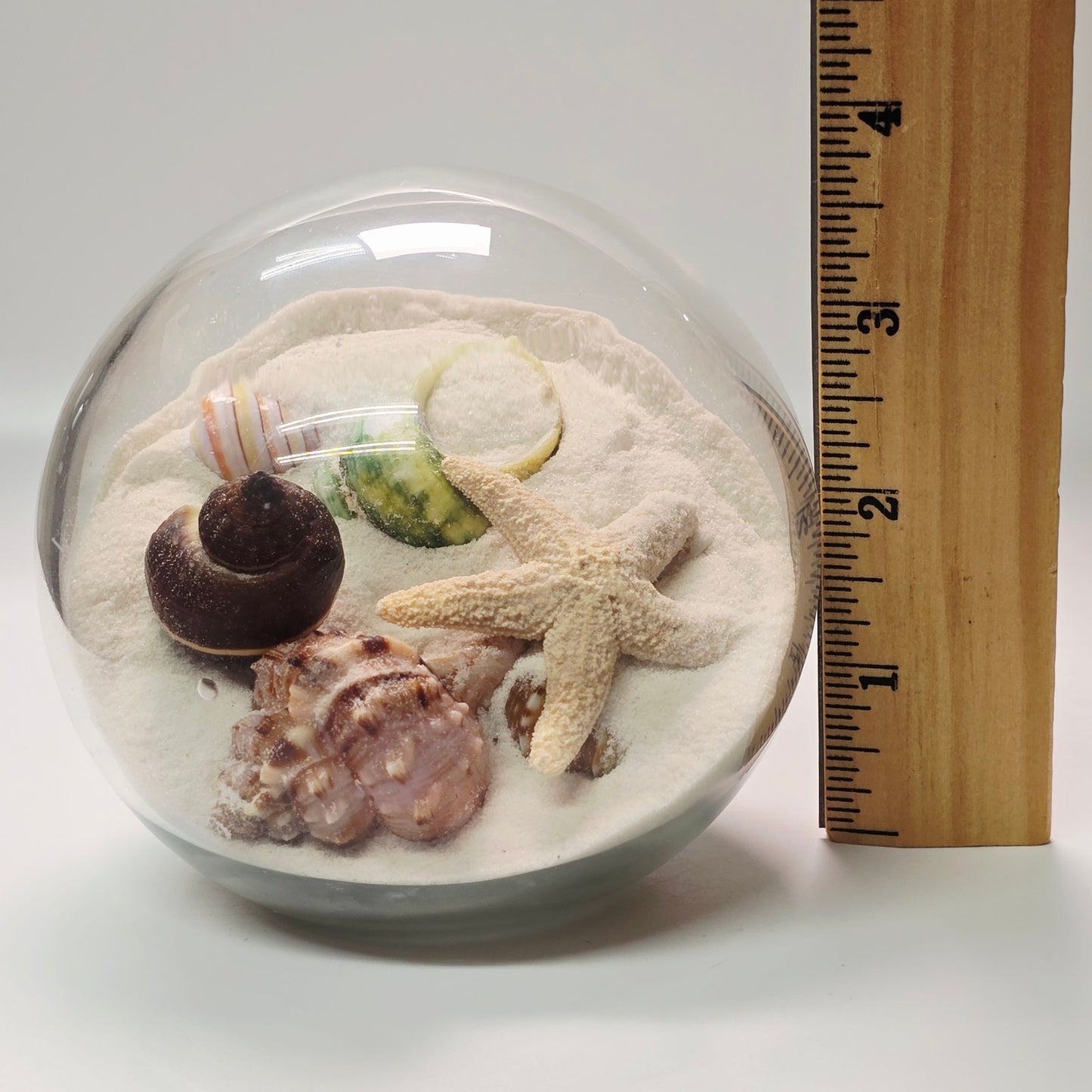 Sand and Shells Sandglobe Paperweight