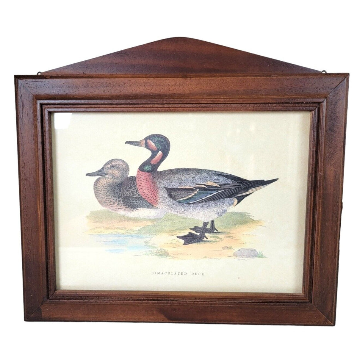 Italian Wood Handcrafted Bimaculated Duck Wall Mount Key Cabinet