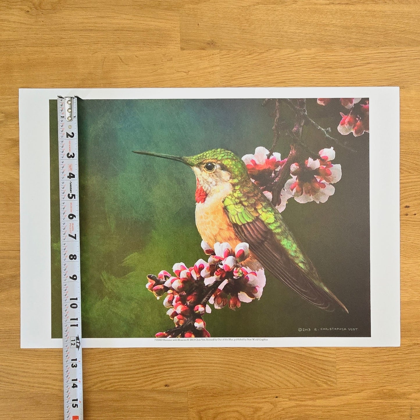 16x12 Bird Art Print: Hummer with Blossoms, 2013 Chris Vest, New World Graphics