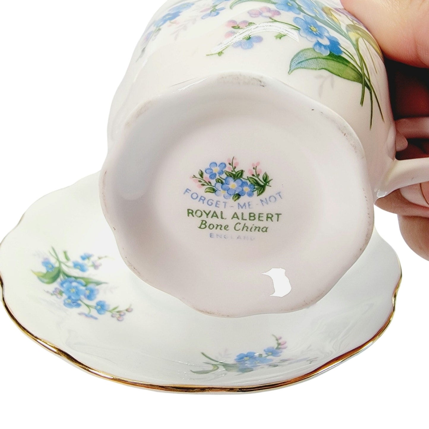 Royal Albert Forget Me Not Teacup & Saucer China Blue White Hampton Made England