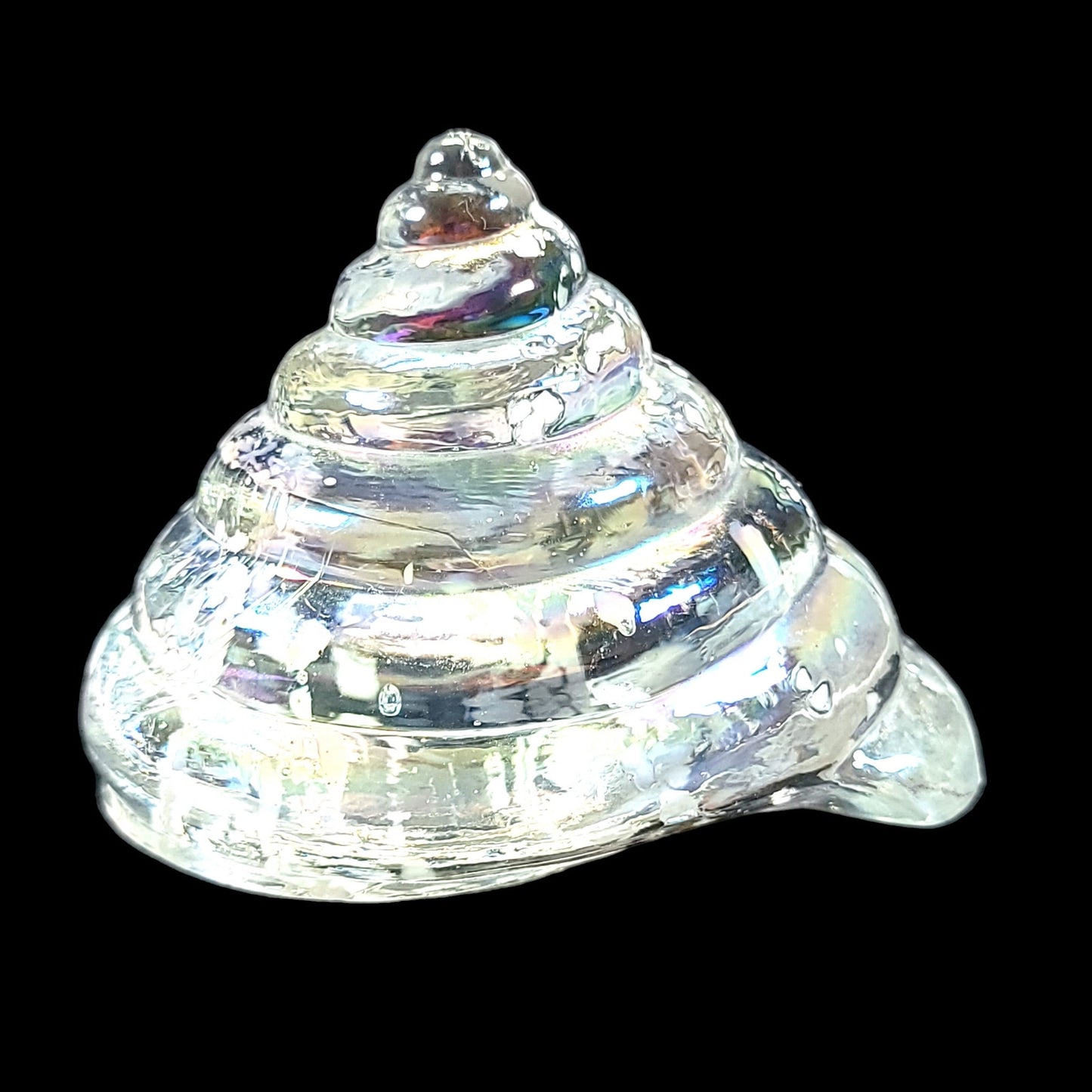 Hand Blown Iridescent Art Glass Sea Shell, Glass Cone Shell 3" x 3"