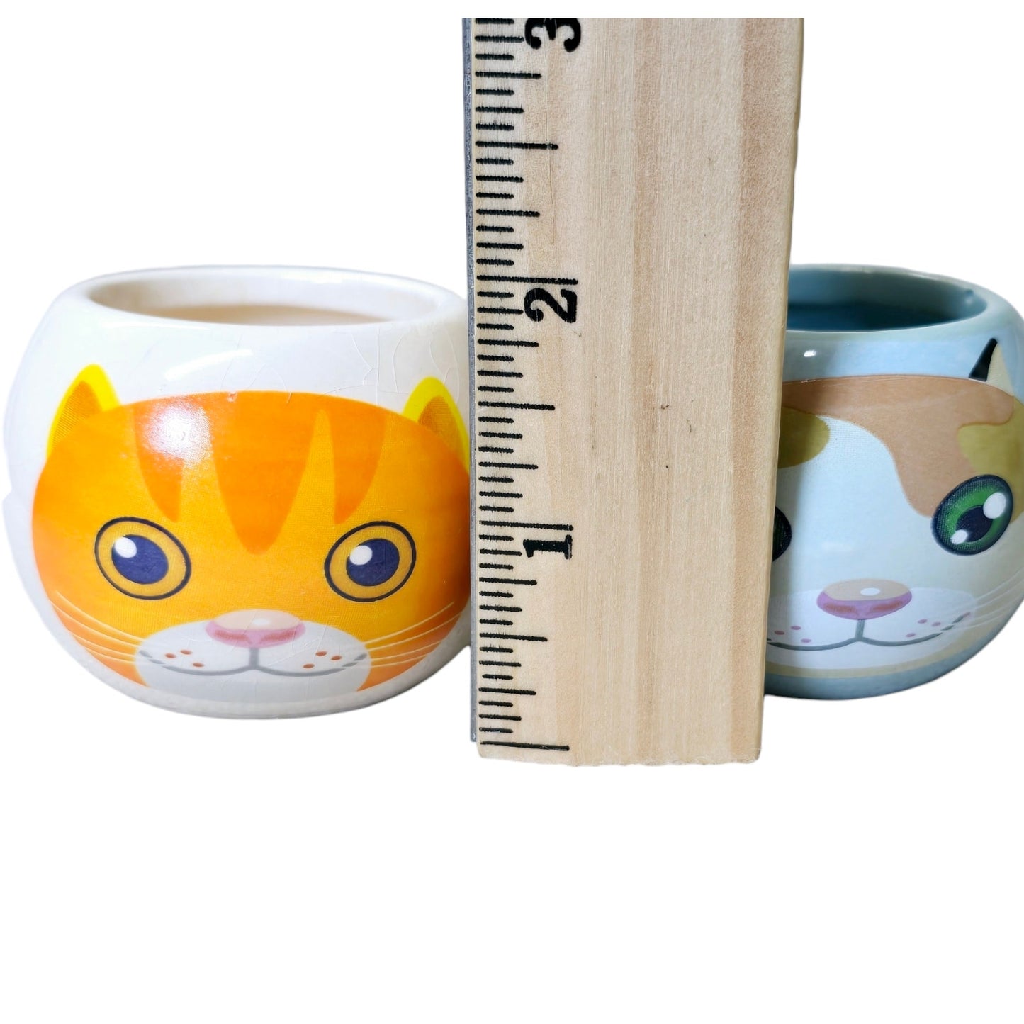 Set of 2 Tiny Pots Cat Succulent Planter Flowerpot For Home Office Desk