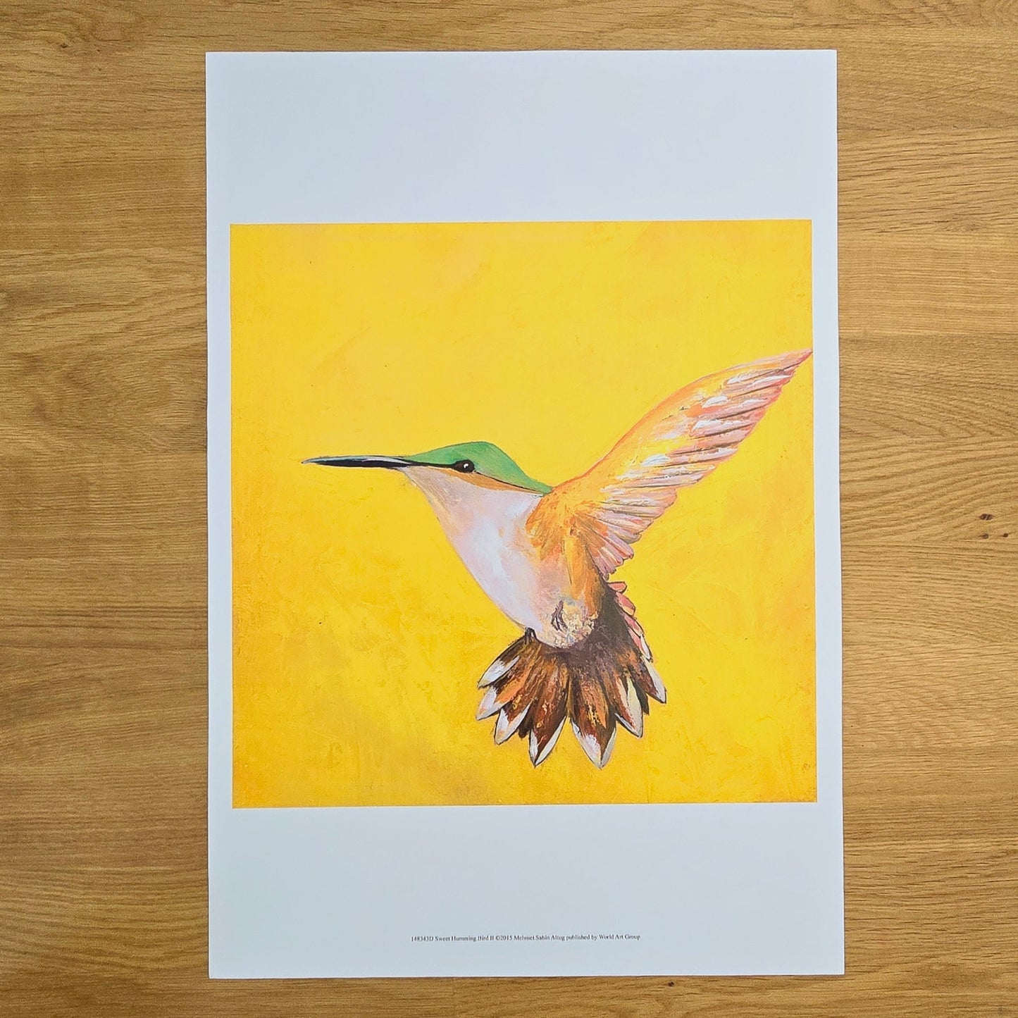 Art Print: Sweet Humming Bird II, 2015, 12x12 print on 13x19 stock