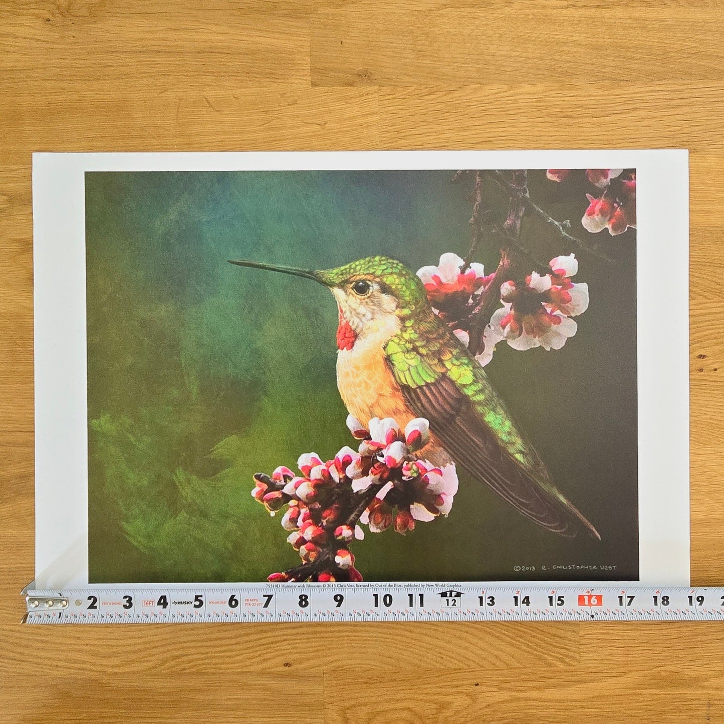 16x12 Bird Art Print: Hummer with Blossoms, 2013 Chris Vest, New World Graphics