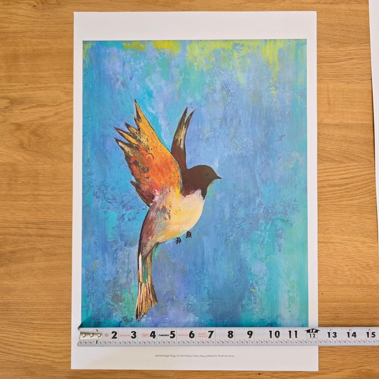 Two 16x12 Bird Art Prints: Bright Wings I & II 2015, Mehmet Sahin Altug